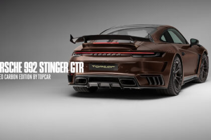 Stinger-Cover
